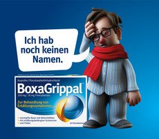 BoxaGrippal-Figur mit Hinweis auf Namenssuche